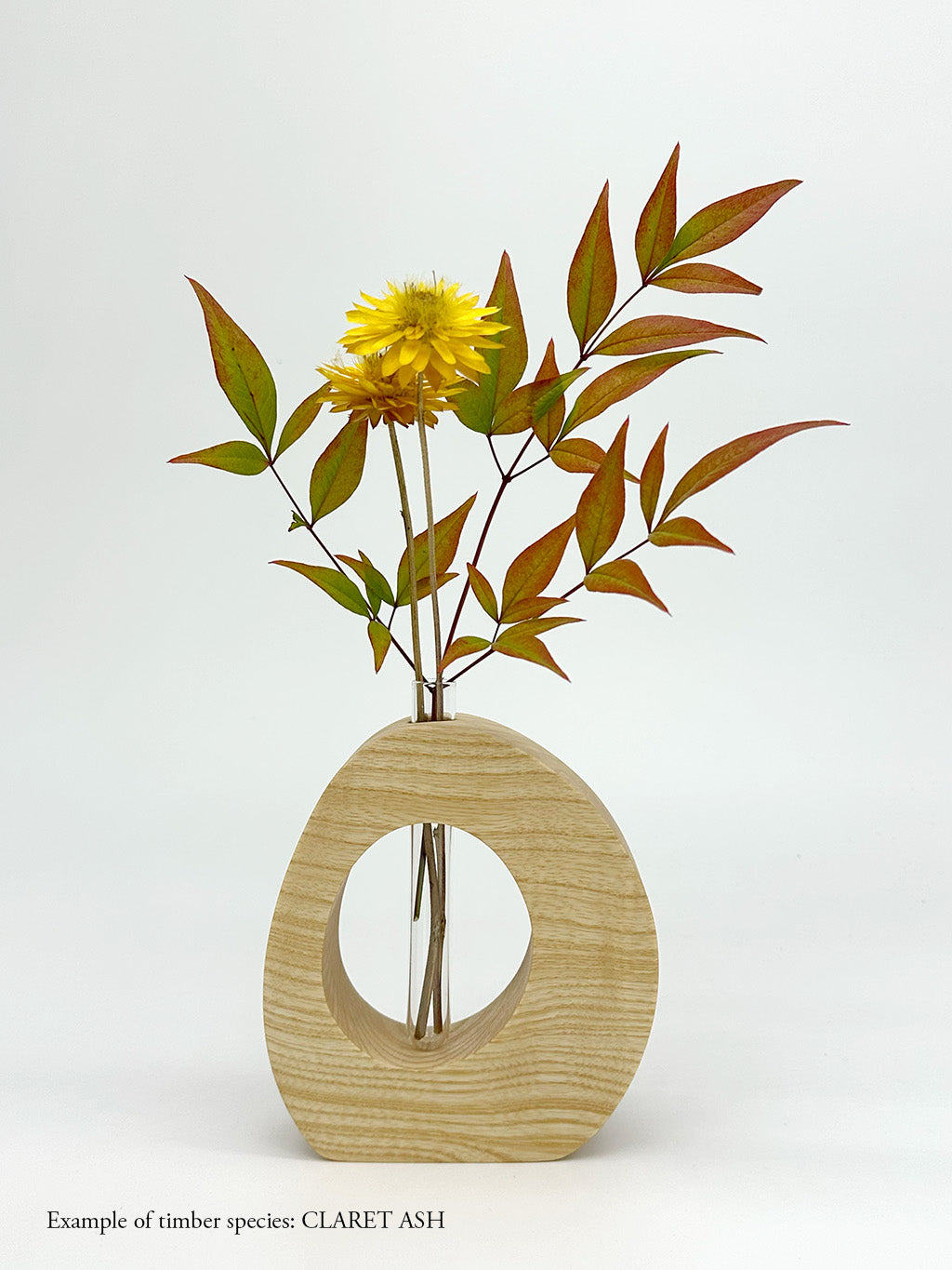 A wooden oval shaped vase with a glass test tube containing a Daisy and Nandina sprig made from Claret Ash timber on white background