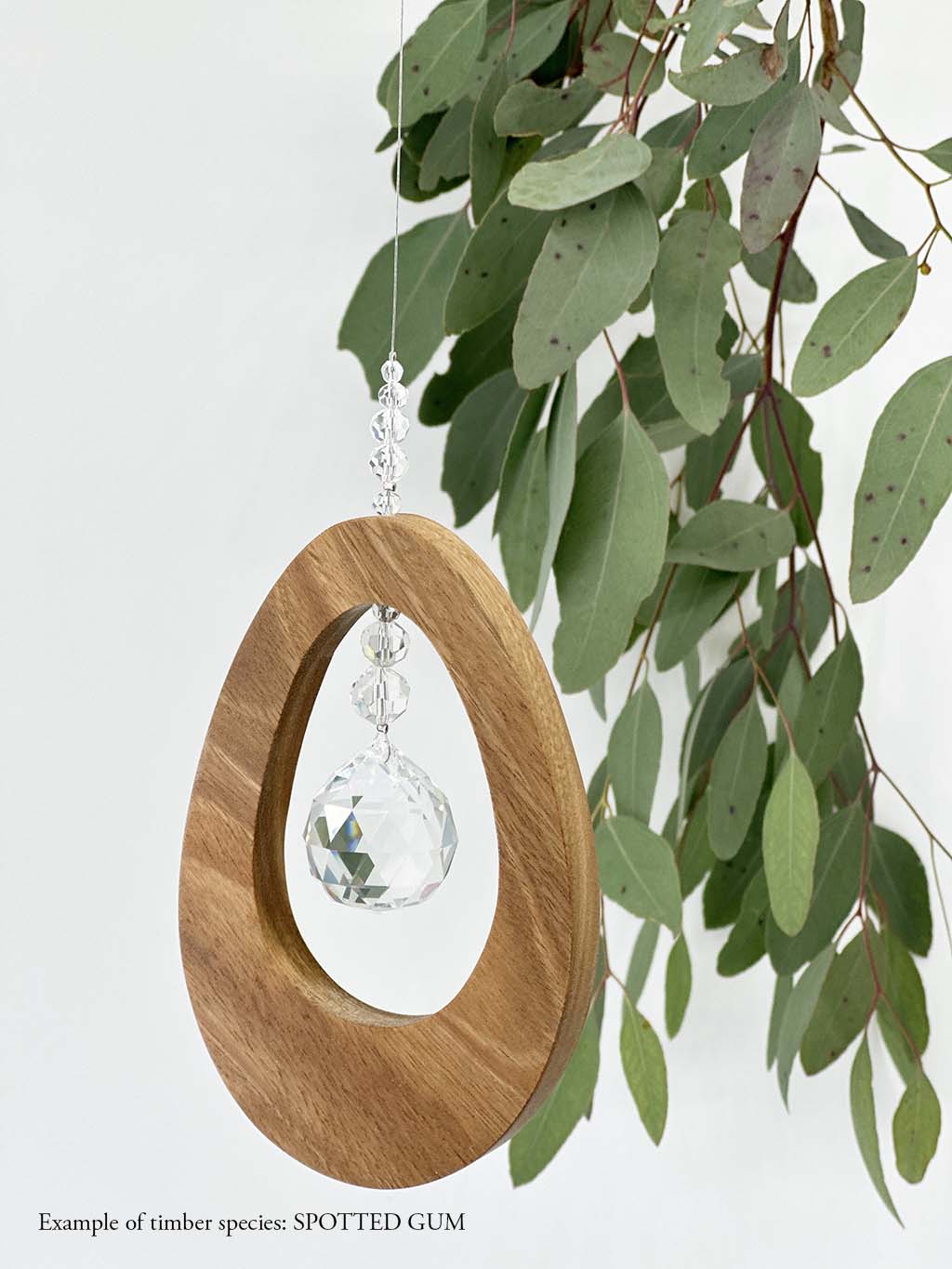 A wooden oval shaped suncatcher made from Spotted Gum hanging from a wire with a large faceted crystal in the centre and smaller crystal beads on top. Hanging in front of an eucalyptus branch