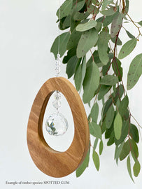 A wooden oval shaped suncatcher made from Spotted Gum hanging from a wire with a large faceted crystal in the centre and smaller crystal beads on top. Hanging in front of an eucalyptus branch