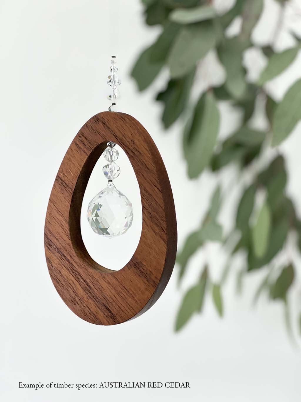 A wooden oval shaped suncatcher made from Australian Red Cedar hanging from a wire with a large faceted crystal in the centre and smaller crystal beads on top. Hanging in front of an eucalyptus branch