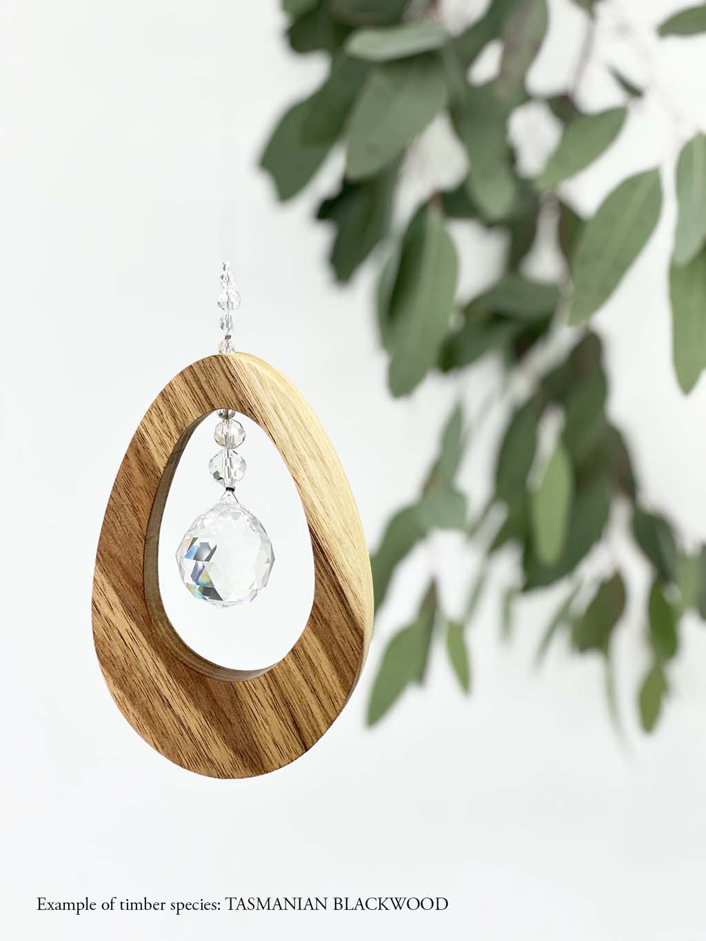 A wooden oval shaped suncatcher made from Tasmanian Blackwood hanging from a wire with a large faceted crystal in the centre and smaller crystal beads on top. Hanging in front of an eucalyptus branch