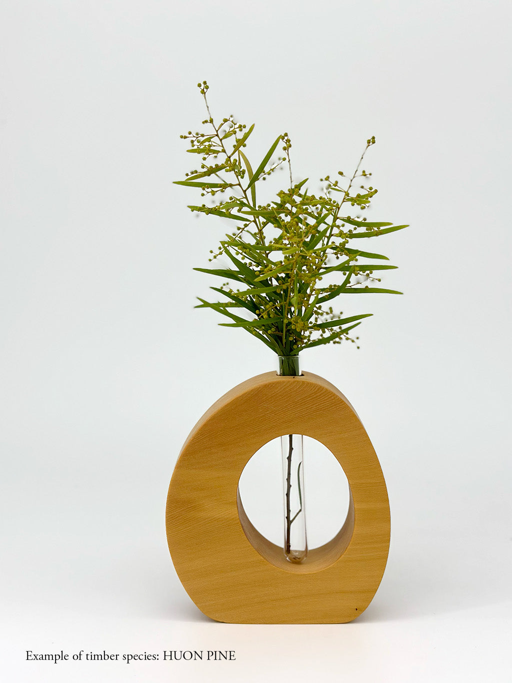A wooden oval shaped vase with a glass test tube containing a  wattle sprig made from Huon Pine timber on white background
