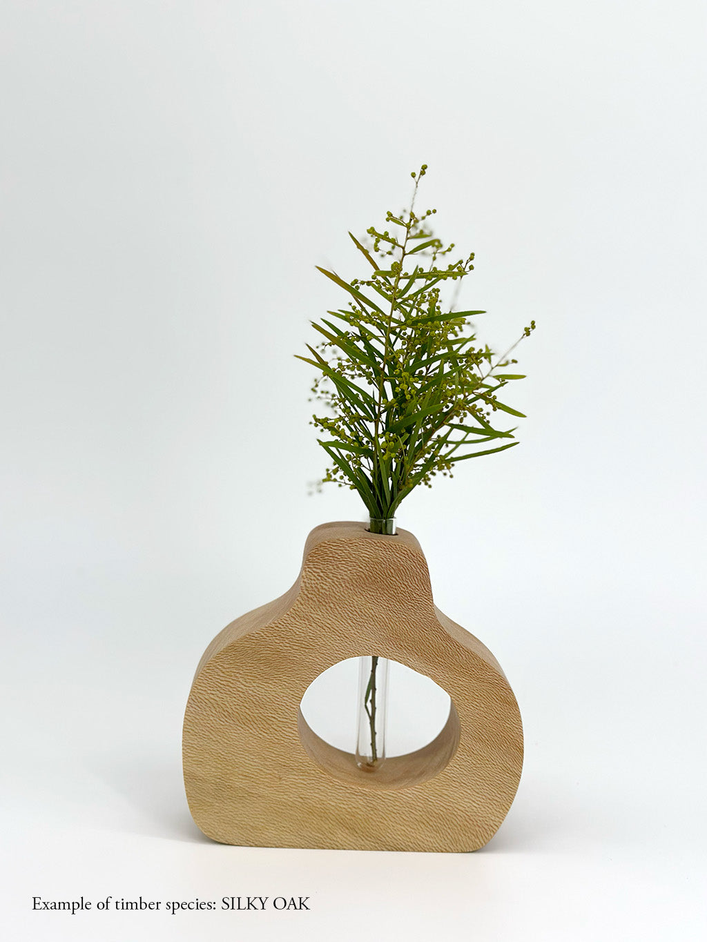 SPFY PEAR SILKYOAK WATTLE