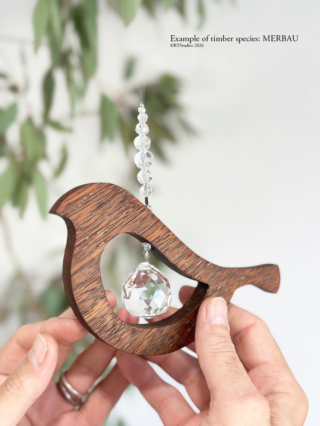 Merbau bird tail up suncatcher held in hand – handcrafted timber crystal wall art by RT Studios Canberra