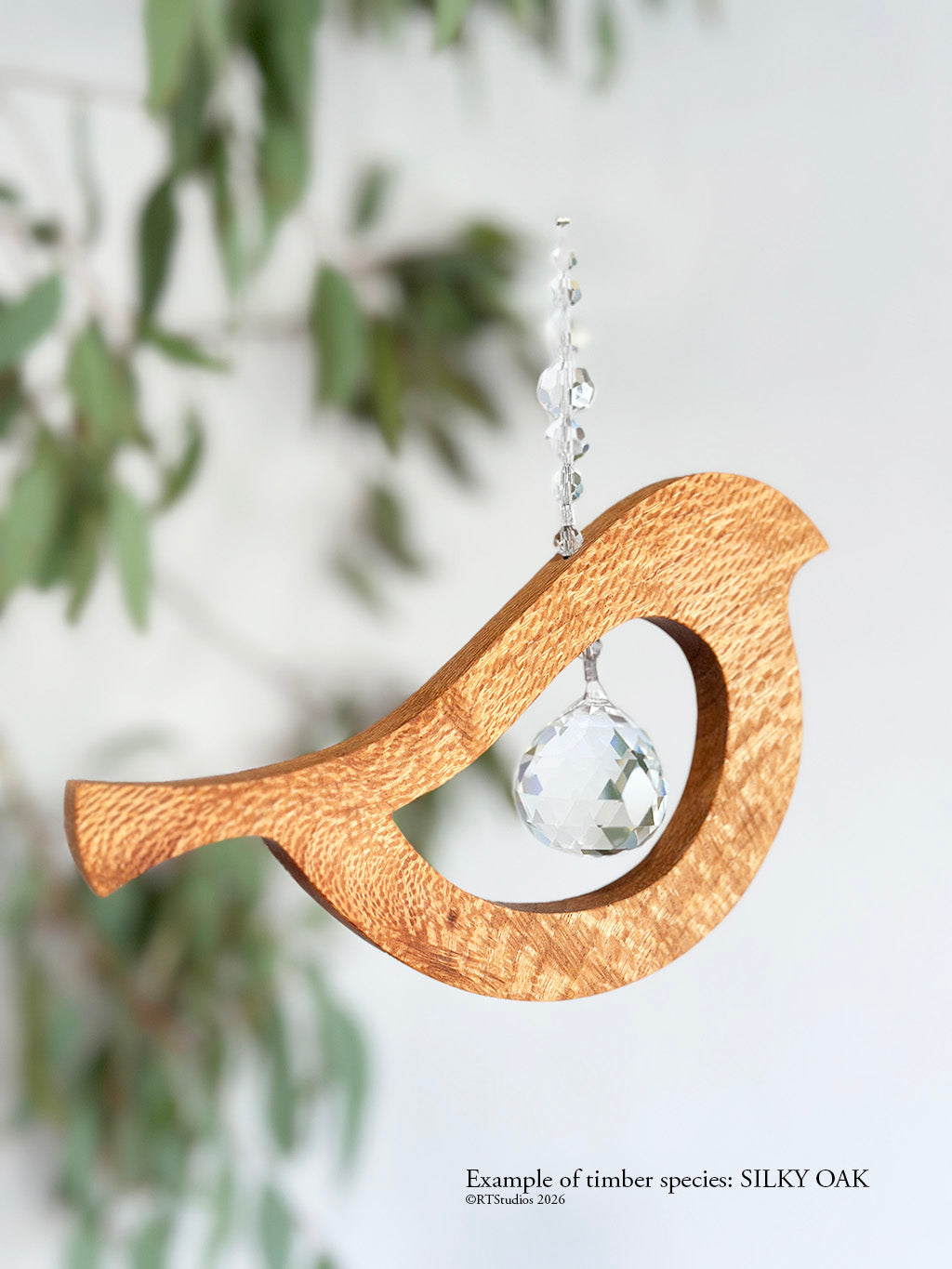 Silky oak bird tail up suncatcher – unique handcrafted timber and crystal wall art by RT Studios Canberra