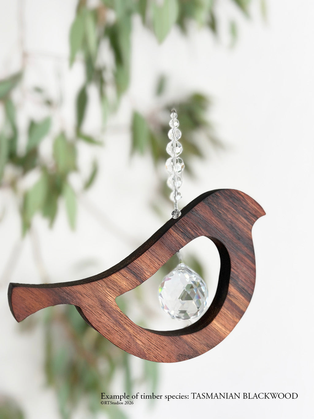 Tasmanian blackwood bird tail up suncatcher – handcrafted premium timber wall art by RT Studios Canberra