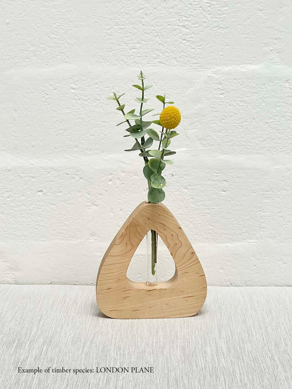 A wooden triangle shaped vase with a glass test tube containing a plant sprig made from London Plane timber on a white background