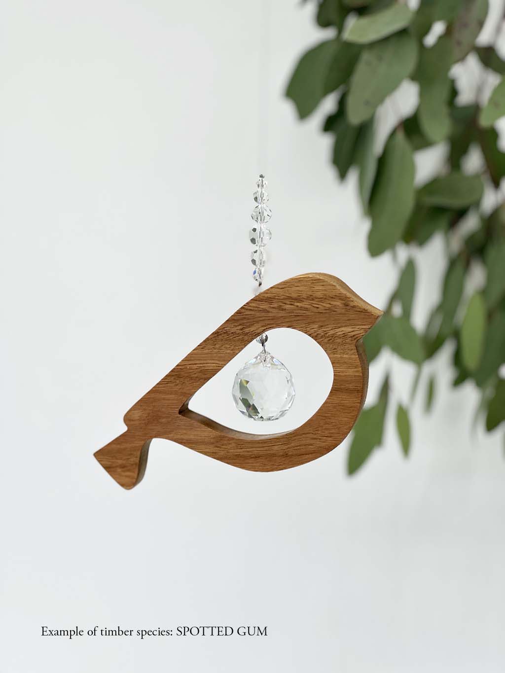 A wooden bird shaped suncatcher made from Spotted Gum hanging from a wire with a large faceted crystal in the centre and smaller crystal beads on top. Hanging in front of an eucalyptus branch