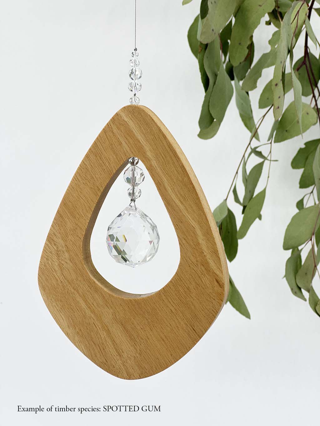 A wooden kite shaped suncatcher made from Spotted Gum hanging from a wire with a large faceted crystal in the centre and smaller crystal beads on top. Hanging in front of an eucalyptus branch