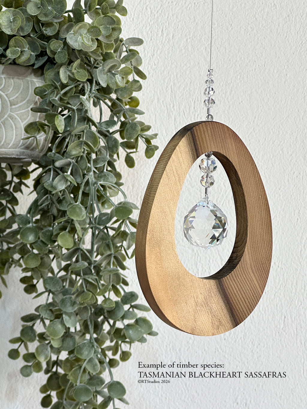 Sassafras oval suncatcher – handcrafted timber and crystal wall art by RT Studios Canberra
