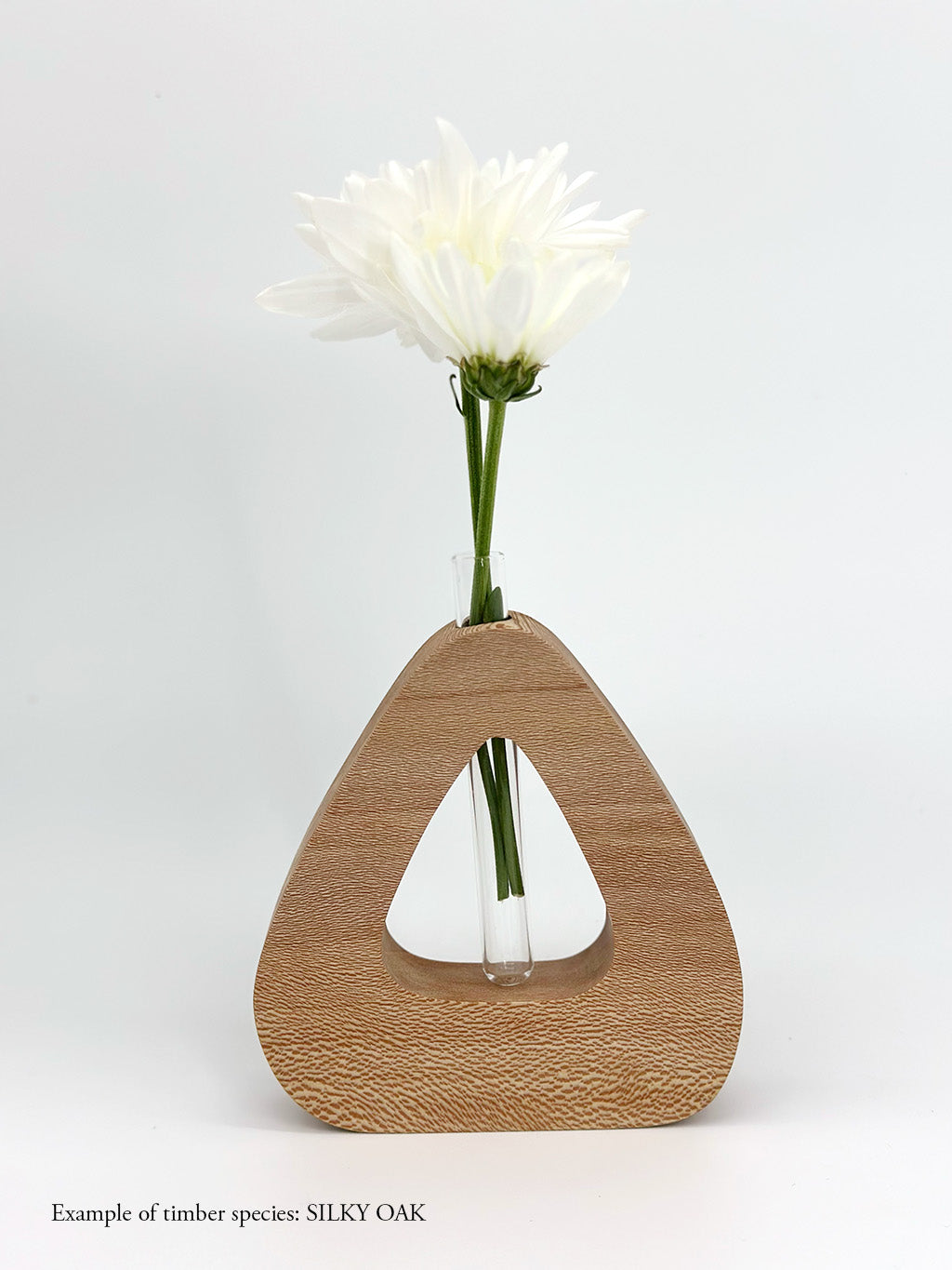 A wooden triangle shaped vase with a glass test tube containing a Daisy flower made from Silky Oak timber on a white background